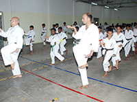 Karate_Gallery