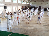 Karate_Gallery