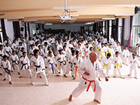 Karate_Gallery